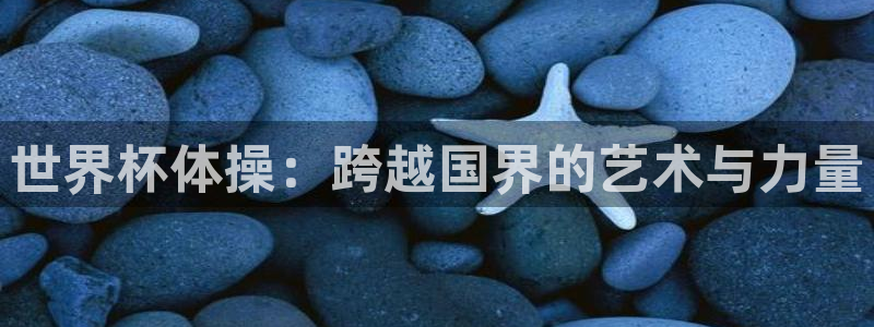 世界杯葡萄牙赛程：世界杯体操：跨越国界的艺术与力量