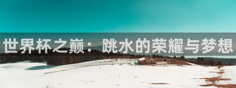 世界杯转播表：世界杯之巅：跳水的荣耀与梦想