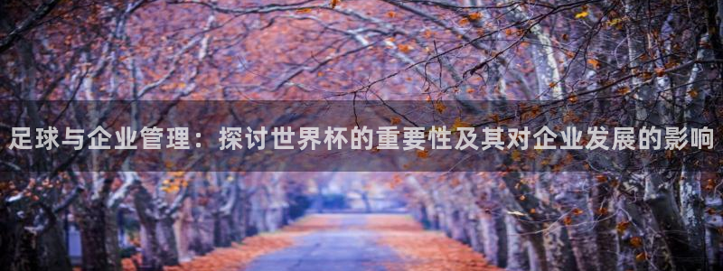 世界杯2026赛程：足球与企业管理：探讨世界杯的重要性及其对企业发展的影响