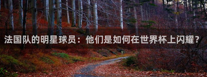 国际足联世界杯：法国队的明星球员：他们是如何在世界杯上闪耀？