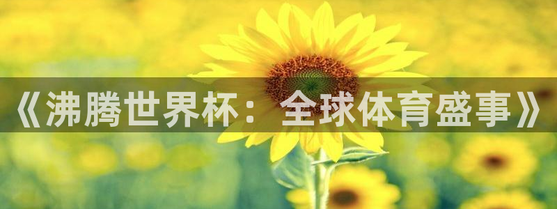 亚洲杯足球：《沸腾世界杯：全球体育盛事》