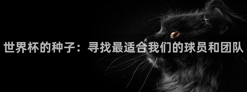 世界杯在线直播：世界杯的种子：寻找最适合我们的球员和团队