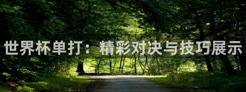 世界杯预选赛2026：世界杯单打：精彩对决与技巧展示