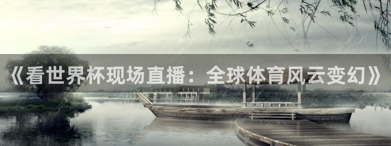 世界杯亚洲区预选赛积分榜：《看世界杯现场直播：全球体育风云变幻》