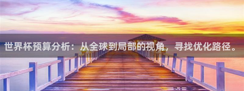 世界杯在线直播入口：世界杯预算分析：从全球到局部的视角，寻找优化路径。