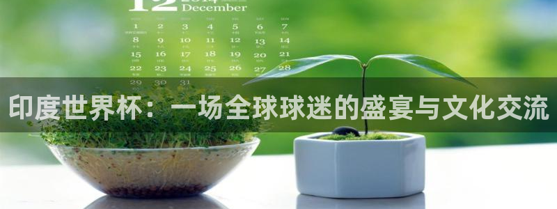 世界杯决赛预测：印度世界杯：一场全球球迷的盛宴与文化交流