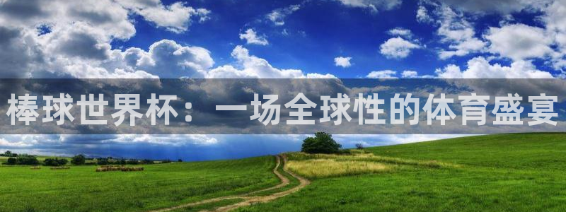 世界杯足球2026：棒球世界杯：一场全球性的体育盛宴