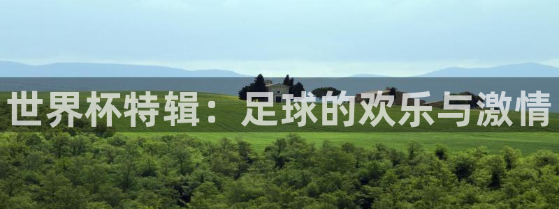 2026世预赛赛程表：世界杯特辑：足球的欢乐与激情